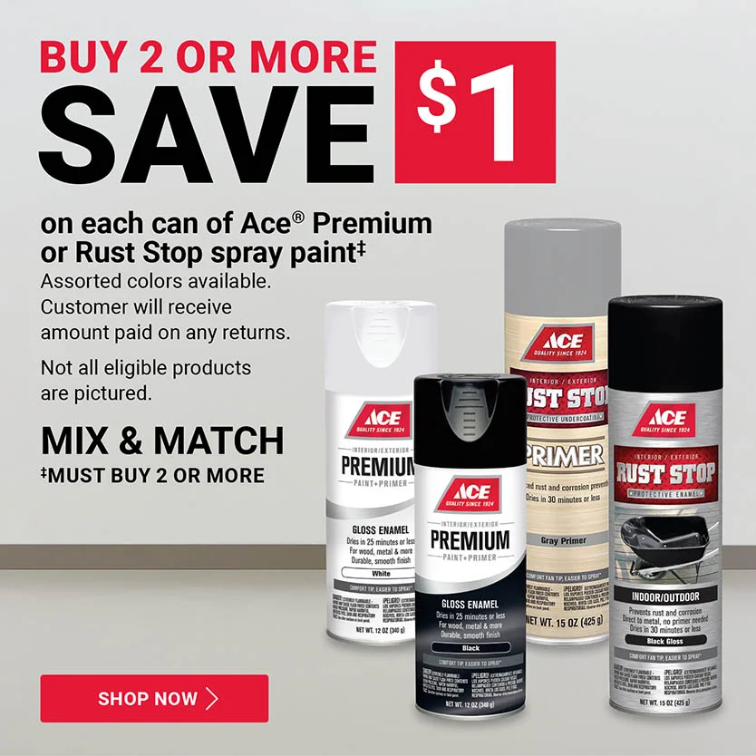 Save $1 on Ace Premium or Rust Stop spray paint when you buy 2 or more