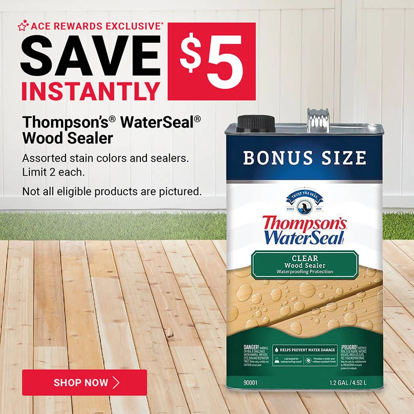Thompson's® WaterSeal® Wood Sealer